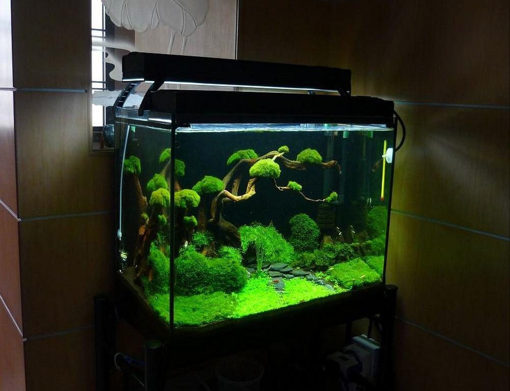 1_aquascape_sideview1-2792134