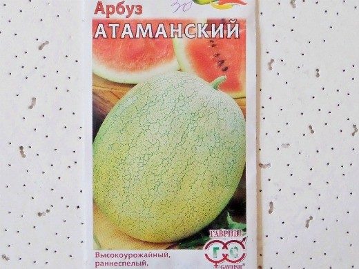 arbuz-atamanskiy-9802529