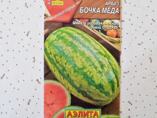 arbuz-bochka-myoda-4274627