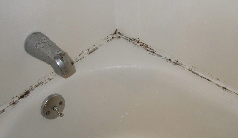 mold-bath-2269905